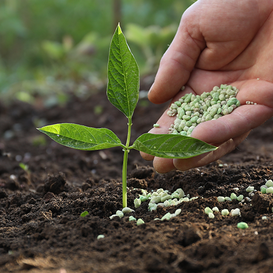 Sustainable fertilization techniques to preserve the soil